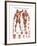 The Muscular System-null-Framed Premium Giclee Print