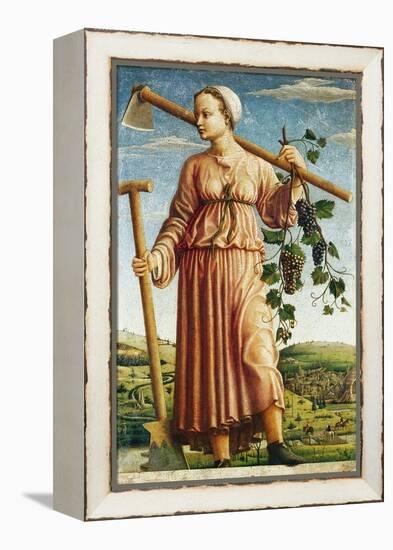 The Muse Polyhymnia, Inventor of Agriculture-Ferraresischer Meister-Framed Premier Image Canvas