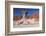 The Mushroom Rock Formation by Los Coloradas Red Rock Wall, North Argentina-Matthew Williams-Ellis-Framed Photographic Print