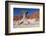 The Mushroom Rock Formation by Los Coloradas Red Rock Wall, North Argentina-Matthew Williams-Ellis-Framed Photographic Print