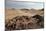 The Namib-Naukluft National Park at Sunset-Alex Saberi-Mounted Photographic Print