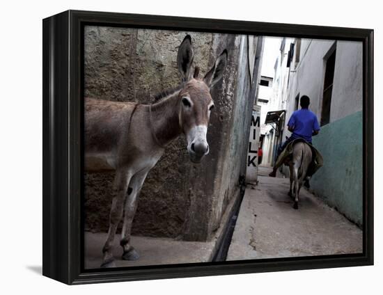 The Narrow Streets of Lamu Town, Lamu, Kenya, East Africa, Africa-Andrew Mcconnell-Framed Premier Image Canvas