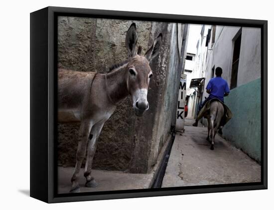 The Narrow Streets of Lamu Town, Lamu, Kenya, East Africa, Africa-Andrew Mcconnell-Framed Premier Image Canvas