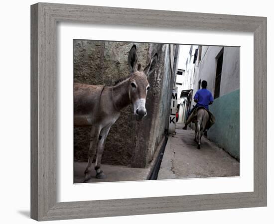 The Narrow Streets of Lamu Town, Lamu, Kenya, East Africa, Africa-Andrew Mcconnell-Framed Photographic Print