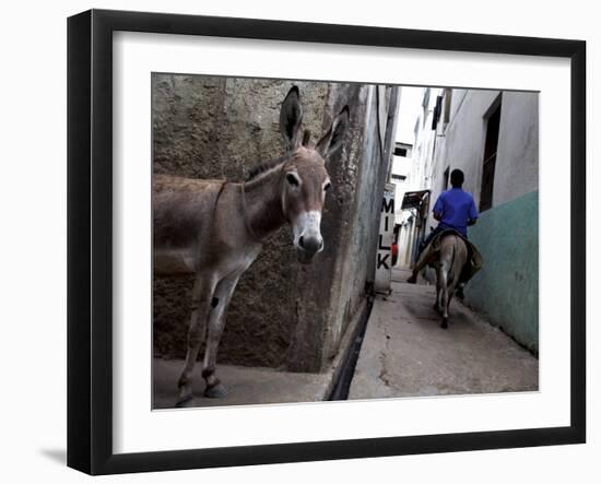 The Narrow Streets of Lamu Town, Lamu, Kenya, East Africa, Africa-Andrew Mcconnell-Framed Photographic Print