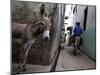 The Narrow Streets of Lamu Town, Lamu, Kenya, East Africa, Africa-Andrew Mcconnell-Mounted Photographic Print