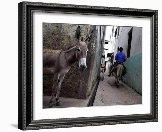 The Narrow Streets of Lamu Town, Lamu, Kenya, East Africa, Africa-Andrew Mcconnell-Framed Photographic Print