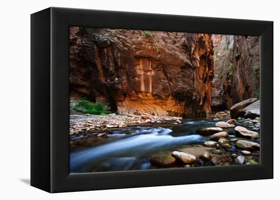 The Narrows In Zion National Park, Utah-Austin Cronnelly-Framed Premier Image Canvas