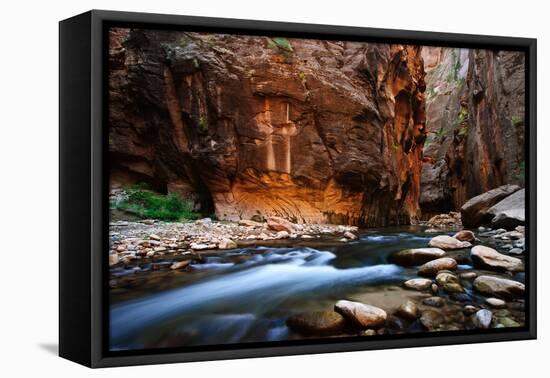 The Narrows In Zion National Park, Utah-Austin Cronnelly-Framed Premier Image Canvas