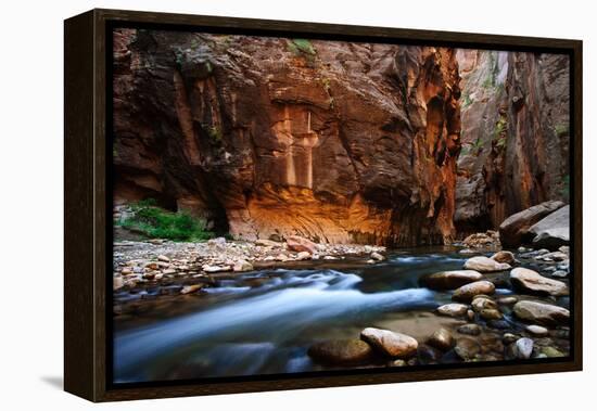 The Narrows In Zion National Park, Utah-Austin Cronnelly-Framed Premier Image Canvas