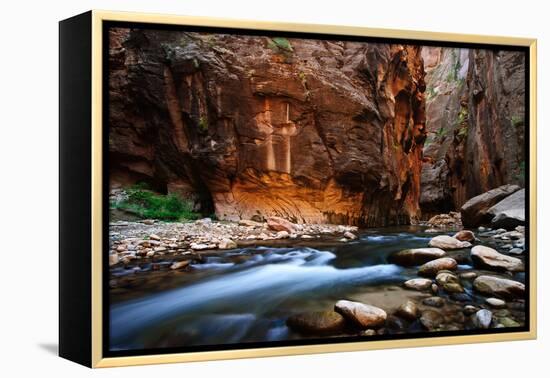 The Narrows In Zion National Park, Utah-Austin Cronnelly-Framed Premier Image Canvas