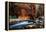 The Narrows In Zion National Park, Utah-Austin Cronnelly-Framed Premier Image Canvas