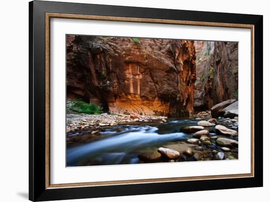 The Narrows In Zion National Park, Utah-Austin Cronnelly-Framed Photographic Print