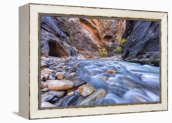 The Narrows of the Virgin River in autumn in Zion NP, Utah, USA-Chuck Haney-Framed Premier Image Canvas