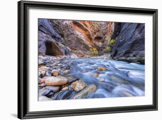 The Narrows of the Virgin River in autumn in Zion NP, Utah, USA-Chuck Haney-Framed Photographic Print