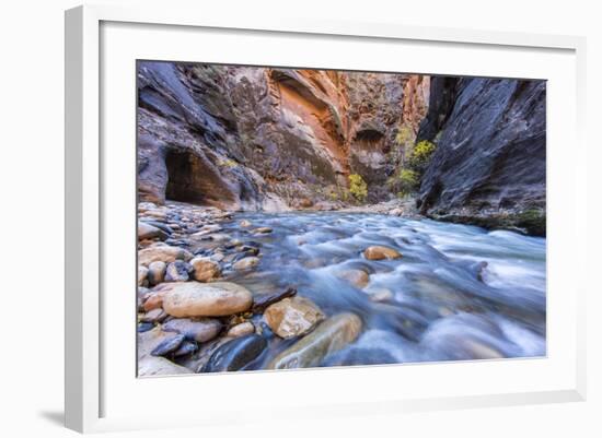 The Narrows of the Virgin River in autumn in Zion NP, Utah, USA-Chuck Haney-Framed Photographic Print