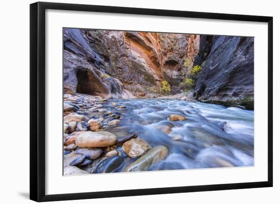 The Narrows of the Virgin River in autumn in Zion NP, Utah, USA-Chuck Haney-Framed Photographic Print