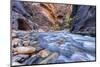 The Narrows of the Virgin River in autumn in Zion NP, Utah, USA-Chuck Haney-Mounted Photographic Print