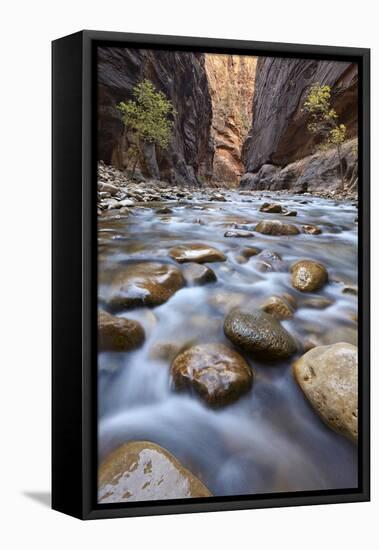 The Narrows of the Virgin River in the Fall-James Hager-Framed Premier Image Canvas