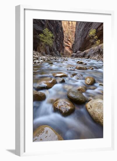 The Narrows of the Virgin River in the Fall-James Hager-Framed Photographic Print