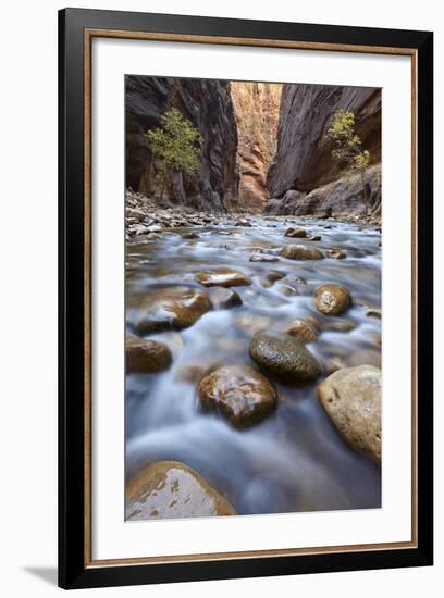 The Narrows of the Virgin River in the Fall-James Hager-Framed Photographic Print