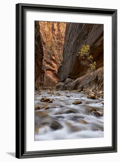 The Narrows of the Virgin River in the Fall-James Hager-Framed Photographic Print