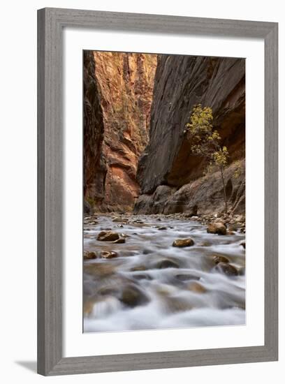 The Narrows of the Virgin River in the Fall-James Hager-Framed Photographic Print