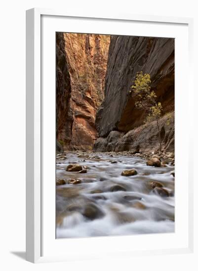 The Narrows of the Virgin River in the Fall-James Hager-Framed Photographic Print