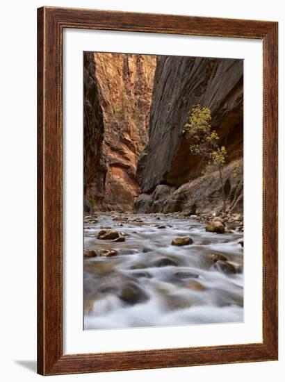 The Narrows of the Virgin River in the Fall-James Hager-Framed Photographic Print