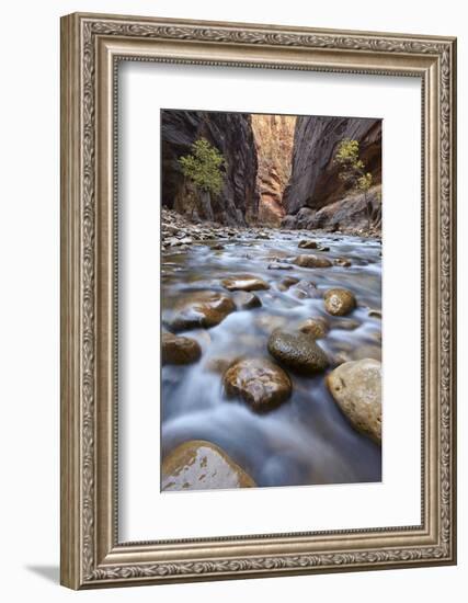 The Narrows of the Virgin River in the Fall-James Hager-Framed Photographic Print