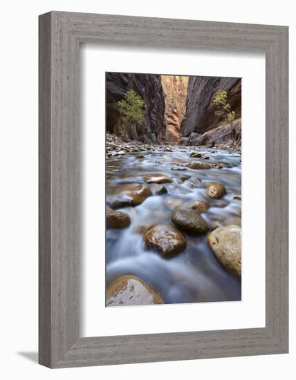 The Narrows of the Virgin River in the Fall-James Hager-Framed Photographic Print