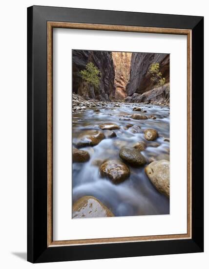 The Narrows of the Virgin River in the Fall-James Hager-Framed Photographic Print