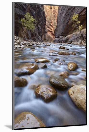 The Narrows of the Virgin River in the Fall-James Hager-Mounted Photographic Print