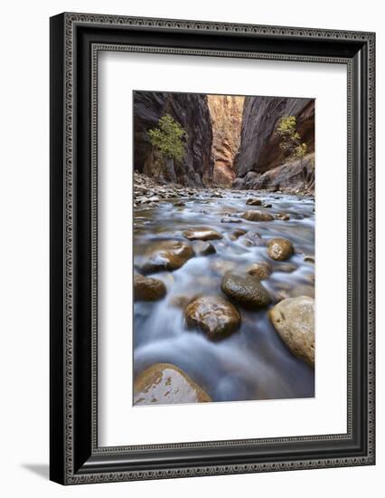 The Narrows of the Virgin River in the Fall-James Hager-Framed Photographic Print