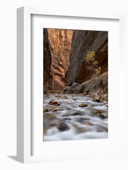 The Narrows of the Virgin River in the Fall-James Hager-Framed Photographic Print