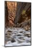 The Narrows of the Virgin River in the Fall-James Hager-Mounted Photographic Print