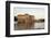 The National Museum Building, Stockholm, Sweden, Scandinavia, Europe-Yadid Levy-Framed Photographic Print