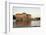 The National Museum Building, Stockholm, Sweden, Scandinavia, Europe-Yadid Levy-Framed Photographic Print