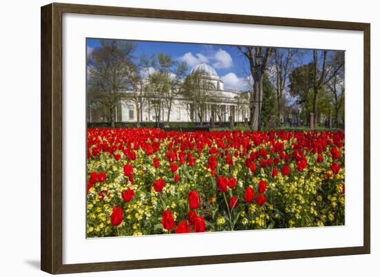 The National Museum of Wales, Cardiff, Wales, United Kingdom-Billy Stock-Framed Photographic Print