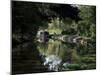 The National Trust Section at Lapworth Locks of the Canal, Warwickshire, United Kingdom-David Hughes-Mounted Photographic Print