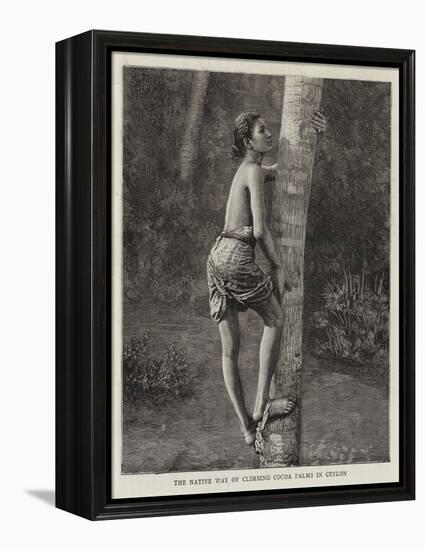 The Native Way of Climbing Cocoa Palms in Ceylon-null-Framed Premier Image Canvas