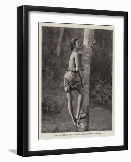 The Native Way of Climbing Cocoa Palms in Ceylon-null-Framed Giclee Print