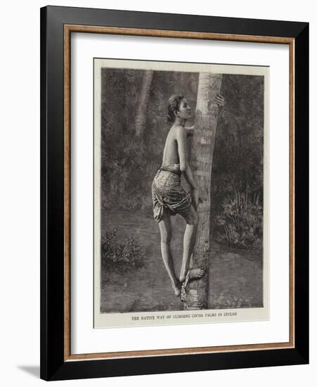 The Native Way of Climbing Cocoa Palms in Ceylon-null-Framed Giclee Print