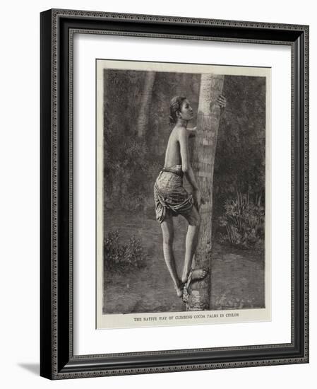 The Native Way of Climbing Cocoa Palms in Ceylon-null-Framed Giclee Print