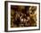 The Nativity-Jacob Jordaens-Framed Giclee Print