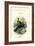 The Naturalist's Library, Ornithology, Senegal Touraco, Violet Plantain Eater, C1833-1865-William Home Lizars-Framed Giclee Print