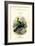 The Naturalist's Library, Ornithology, Senegal Touraco, Violet Plantain Eater, C1833-1865-William Home Lizars-Framed Giclee Print