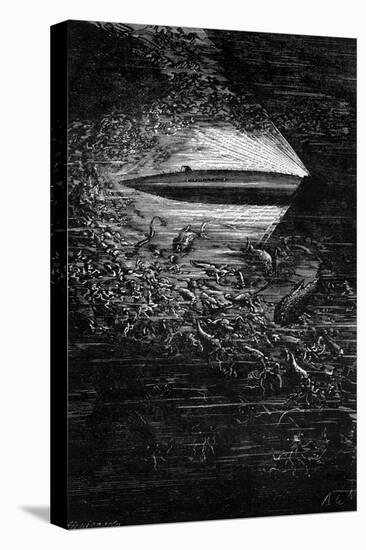Stretched Canvas Print, , large