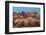 The Needles Canyonlands National Park-Alan Majchrowicz-Framed Photographic Print