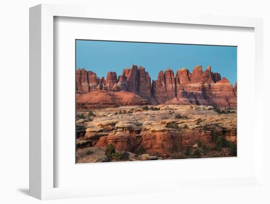 The Needles Canyonlands National Park-Alan Majchrowicz-Framed Photographic Print